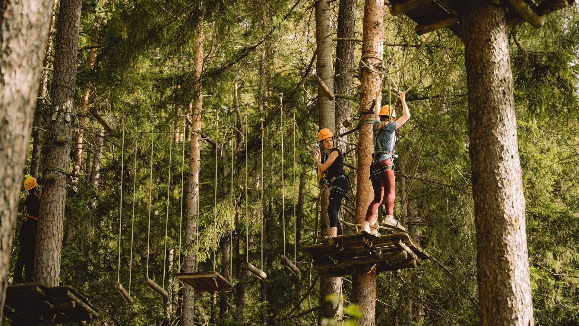 Outdoorspaß im Familienhotel am See in Österreich Personen beim Klettern im Hochseilgarten im Wald mit Schutzhelm und Sicherung