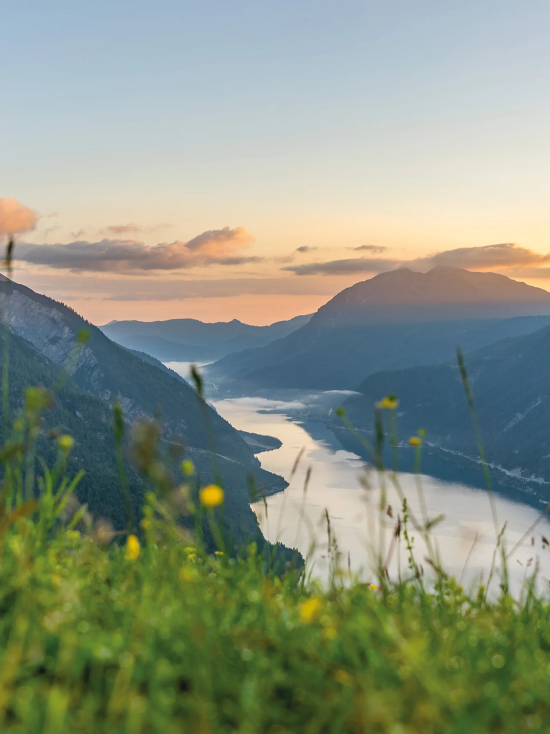Urlaub im Familienresort in Österreich Fluss fließt durch bewaldete Berge bei Sonnenuntergang mit Wiesenblumen im Vordergrund