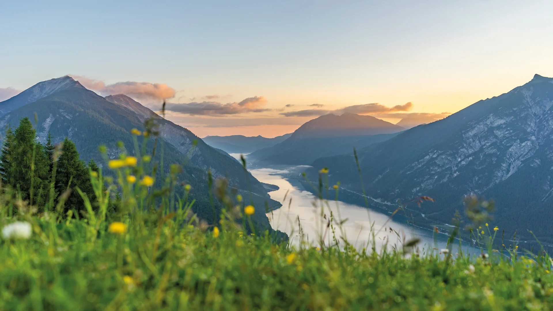 Your unforgettable active lakeside holiday in Austria River flowing through forested mountains at sunset with meadow flowers in foreground