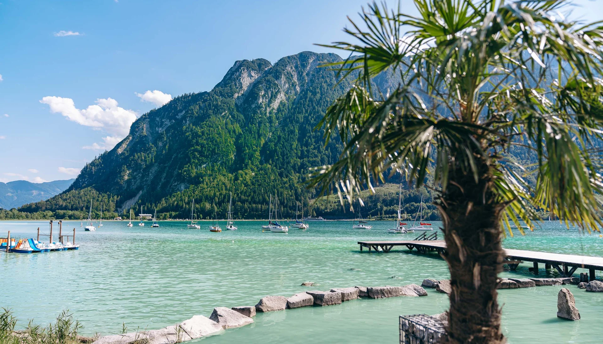 Wassersport auf dem See in Österreich See mit Segelbooten, Berg und Palme im Vordergrund bei klarem Himmel