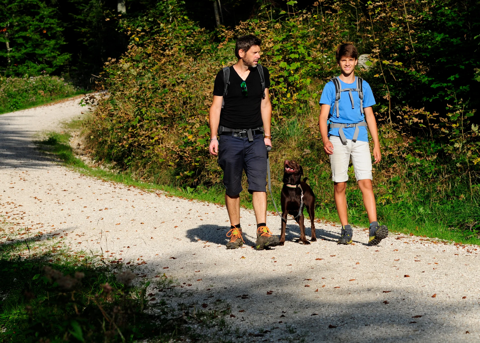 Entspannte Ferien für die ganze Familie. Mann und Junge wandern mit Hund auf Waldweg