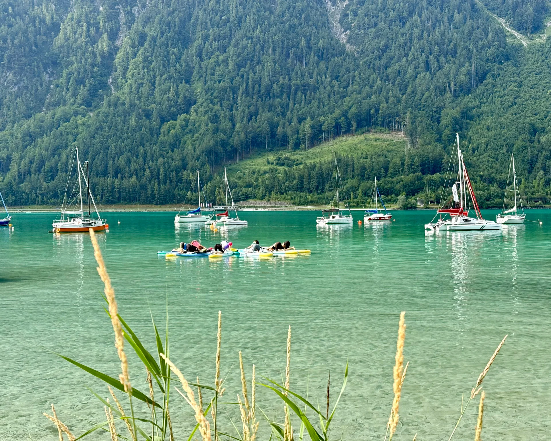 Willkommen im Familienhotel Buchau am Achensee Segelboote auf grünem Bergsee vor bewaldetem Berg